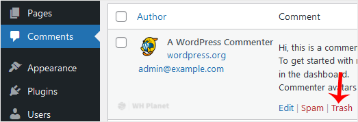 wp-ft-remove-comment.gif